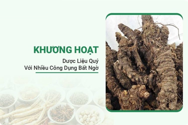 images-khuong-hoat-750x500