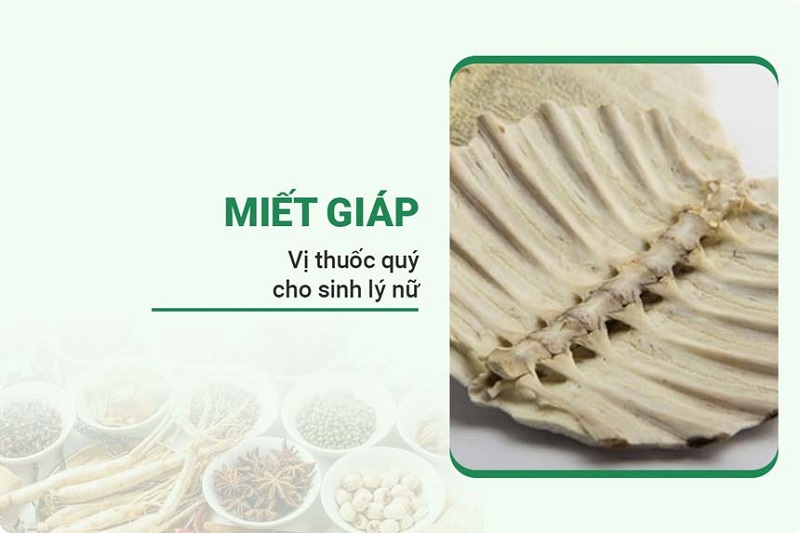 img-cao-miet-giap-1
