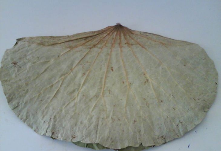 la-sen-kho-2