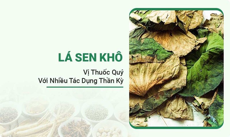 la-sen-kho4