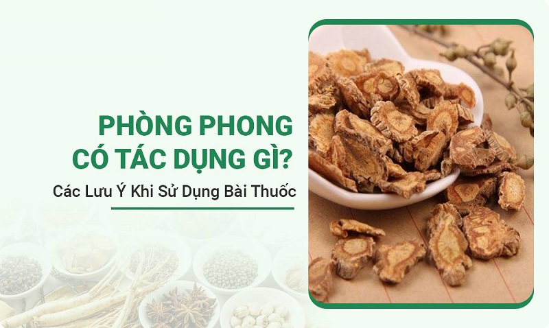 phong-phong-co-tac-dung-gi2