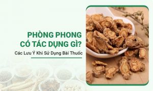 Phòng Phong