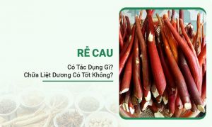 Rễ Cau