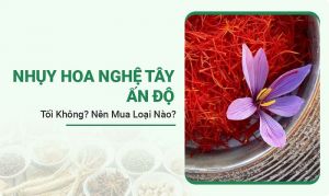 Nhụy Hoa Nghệ Tây