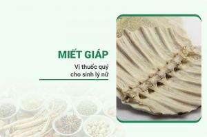 Miết Giáp