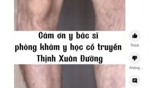 Feedback cập nhật Thịnh Xuân Đường