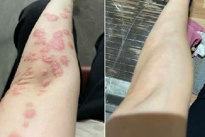 Feedback cập nhật Thịnh Xuân Đường