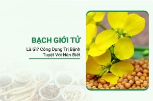 Bạch Giới Tử