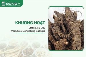 Khương Hoạt