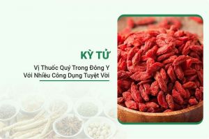 Kỳ Tử