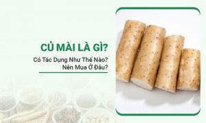 Củ Mài
