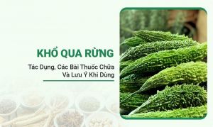 Khổ Qua Rừng