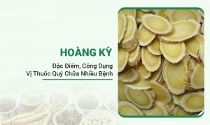 Hoàng Kỳ