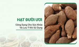 Hạt Đười Ươi